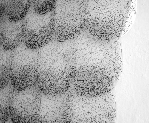 Hnízdo detail